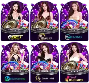 สล็อต pg เว็บตรงแตกหนักวอเลท